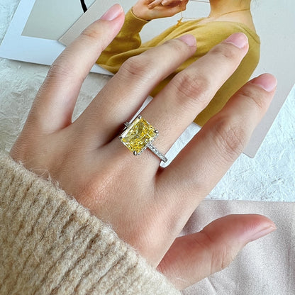 [Kismet Jewels ]4.0 Carat Luxurious Engagement Ring